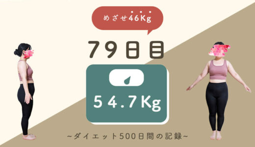 【ゆるダイエット】79日目：54.7Kg｜暑くて引きこもり…