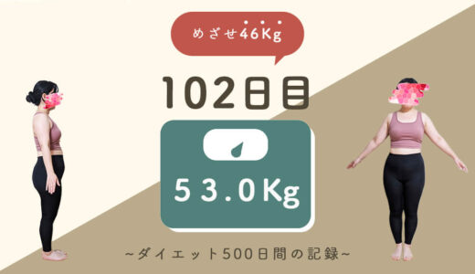 【ゆるダイエット】102日目：53Kg｜順調に減量中！