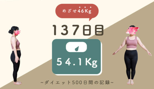 【ゆるダイエット】137日目：54.1Kg｜ドラクエ3やるよー