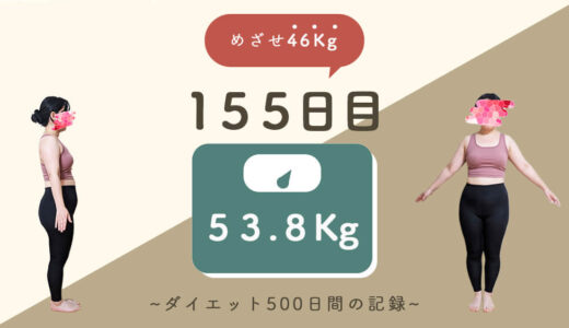 【ゆるダイエット】155日目：53.8Kg｜ウォーキングはお休み