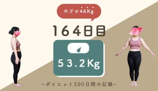 【ゆるダイエット】164日目：53.2Kg｜1kg減！だけど…